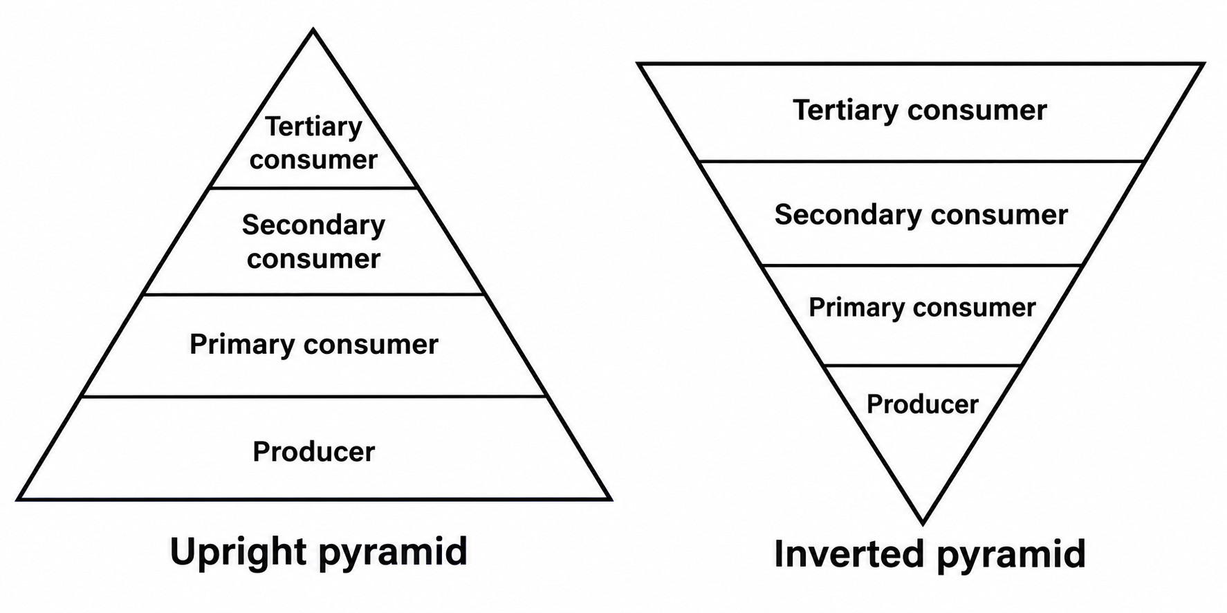 upright and inverted pyramid