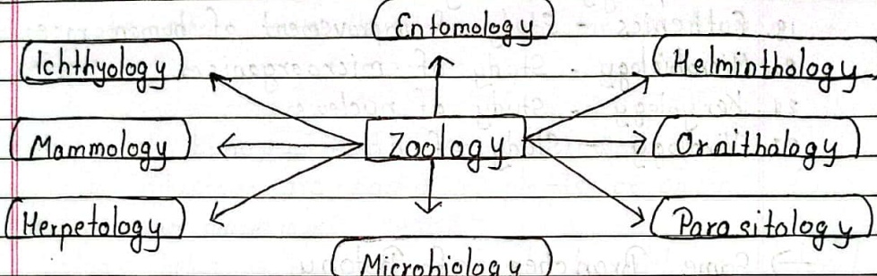 Various branches of Zoology