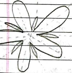 Actinomorphic