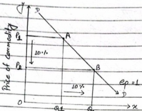 Unitary elastic demand curve