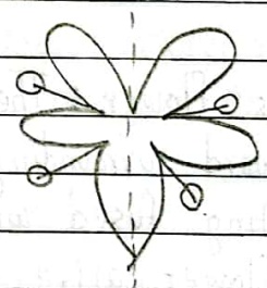 Zygomorphic